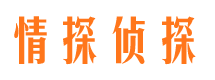 宁都市私家调查